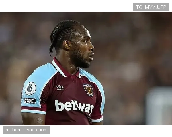 布伦特福德3-1莱斯特城 四连胜延续黑马本色